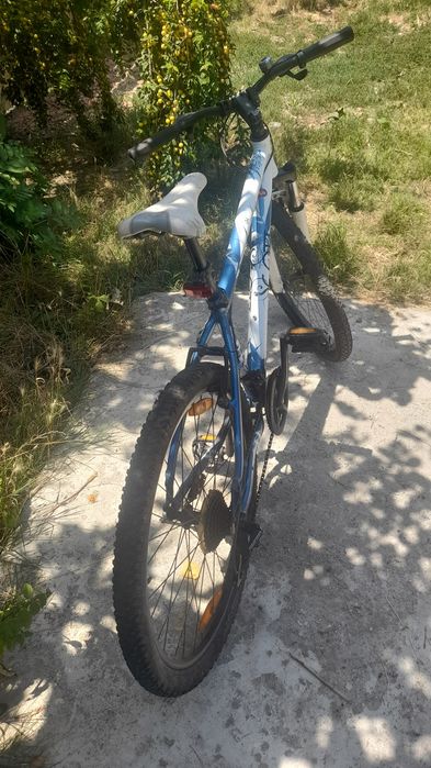 Scuter49cc..ideal curierat Pizza etc
