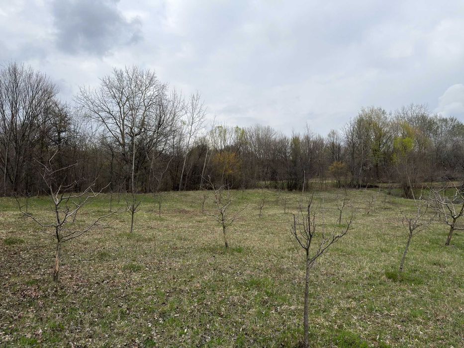 Teren / grădină de vânzare în Barbuletu, judetul Dambovita –  8055 mp