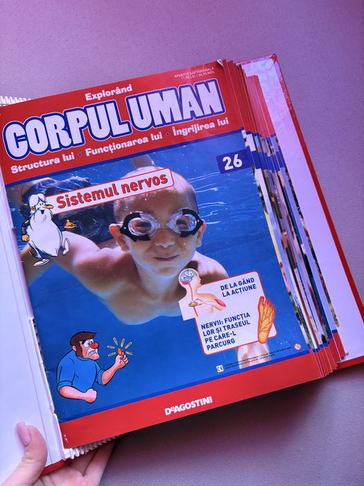 Colectia corpul uman