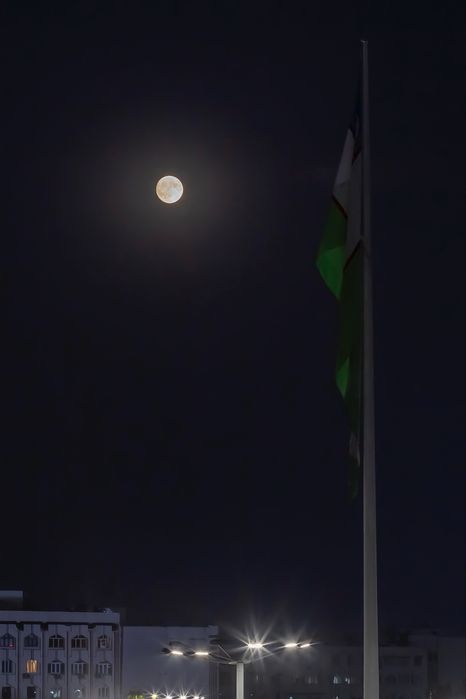 Сдается 1 комнатная студия посуточно в жк NRG U Tower