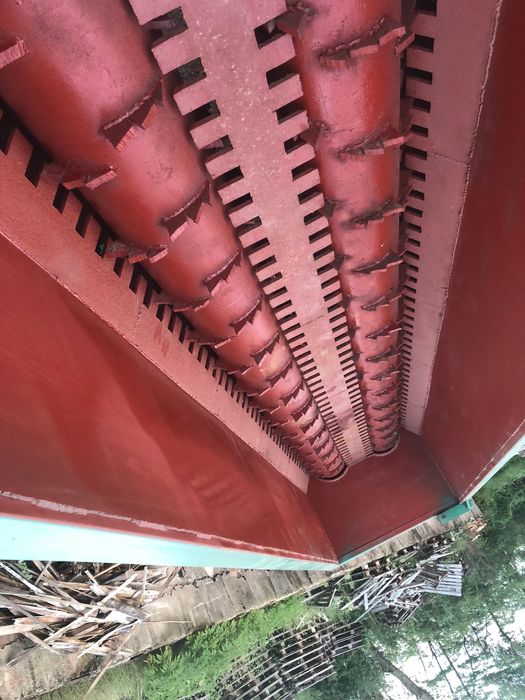 Коробелачка  за дървесина