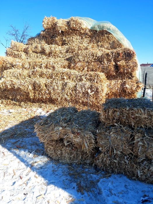 Baloti lucerna și coceni Frumoasa • OLX.ro