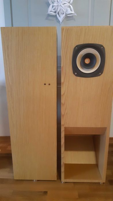 Хорни с FOSTEX FE206En