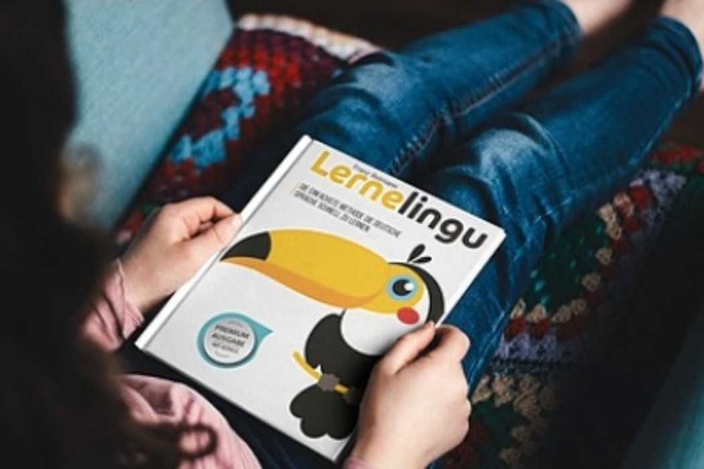 Carte de invatat limba germana LerneLingu