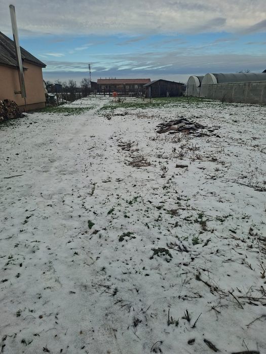 Vând teren in Livada de Bihor