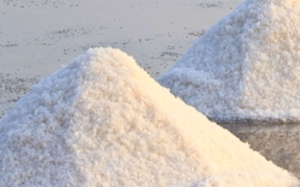 Соль для КРС в Биг бегах