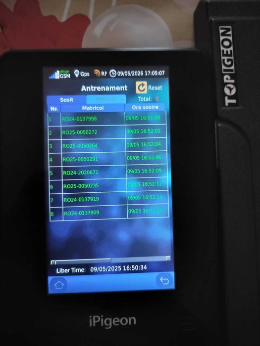 Ceas porumbei toppigeon v8