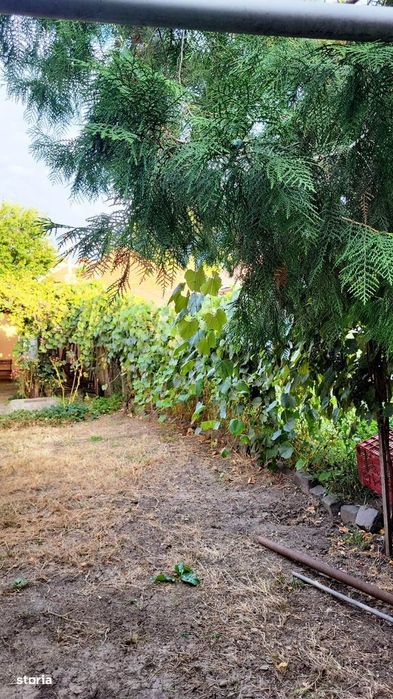 Casa-3 camere în cartierul N.Titulescu, teren 240mp, liberă, utilităţi