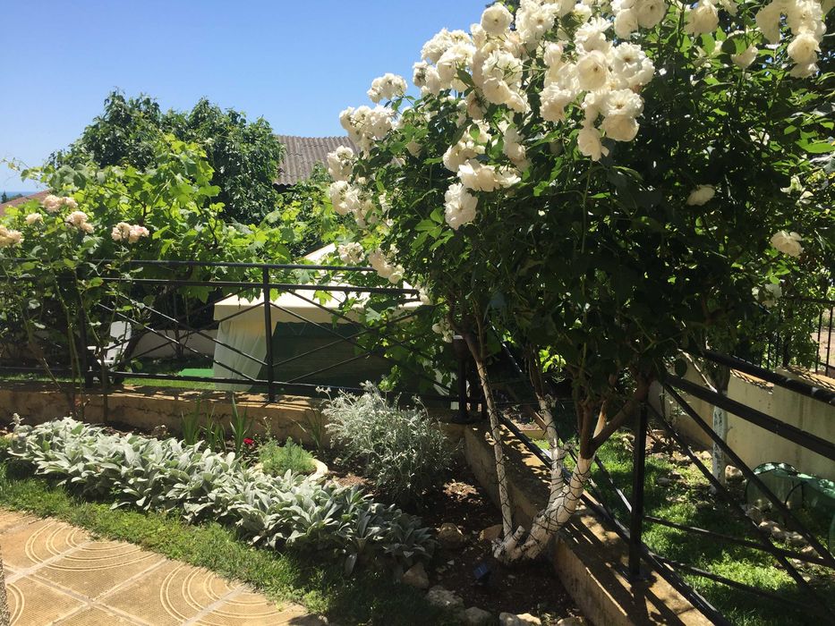 Дава се под наем Едностаен апартамент в Балчик - 42 кв.м за 255 € - Снимка #13