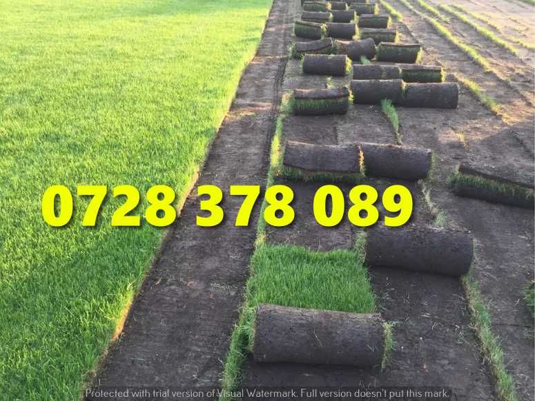 Gazon / Insamantare / Rulouri de Gazon