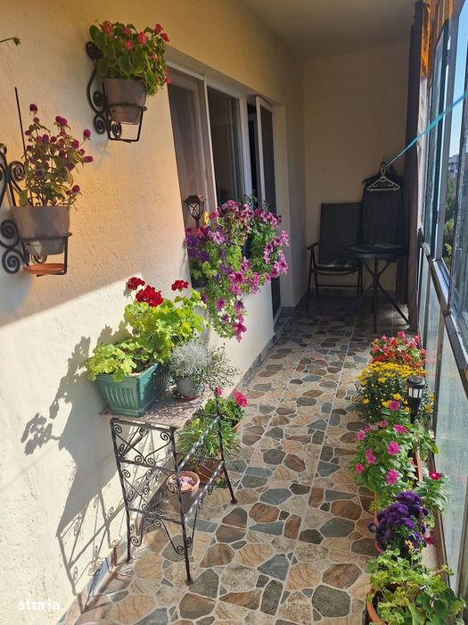 Apartament 4 camere, 2 bai, Micalaca - Miorita, 92 mp, renovat