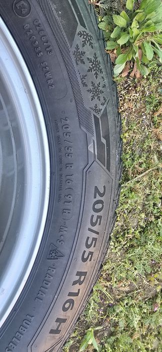 Barum Polaris 5 205/55R16