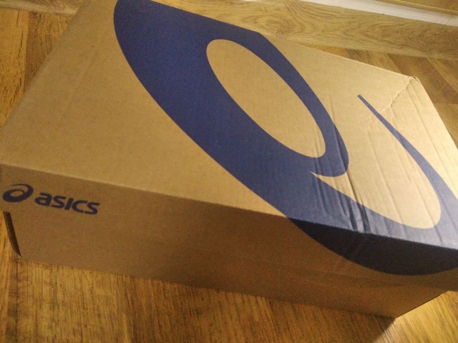 Кросовки Asics Sky ELITE FF 2