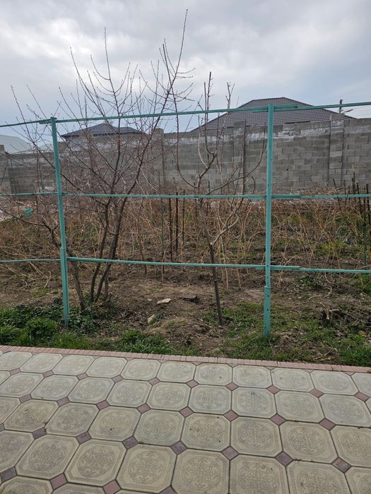 Расскда Малина крупная ремонтантная