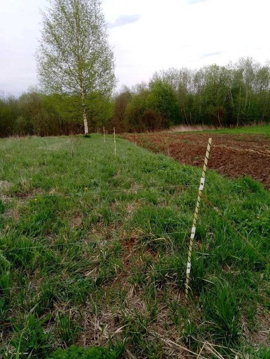 Электропастух. Ограждение для животных.