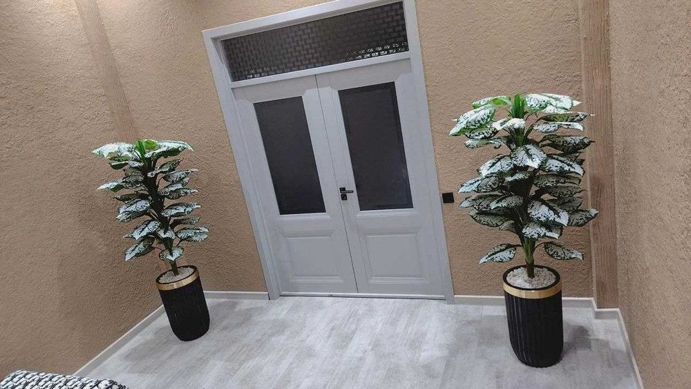 Dacha  kuniga 100$