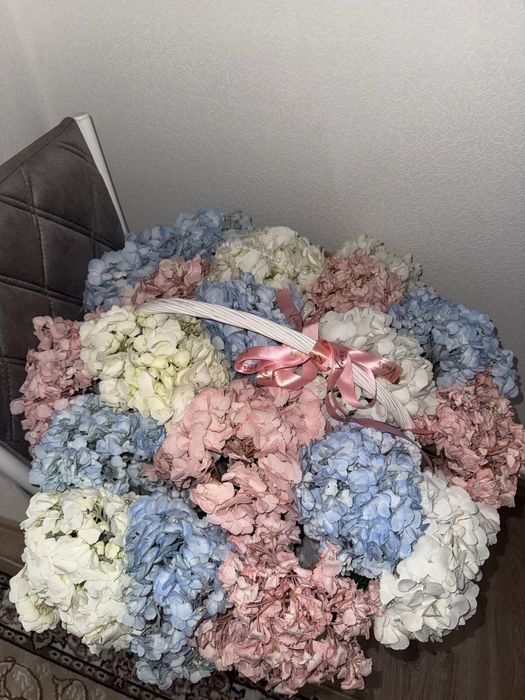 Тура осы күйі әдемі болып тұр