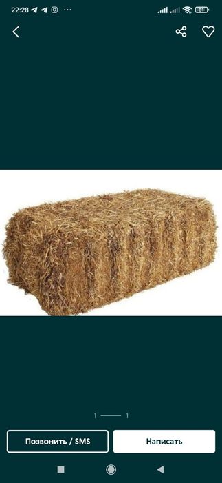 Somon pres,donaga (dastavka adelna) mayda somon