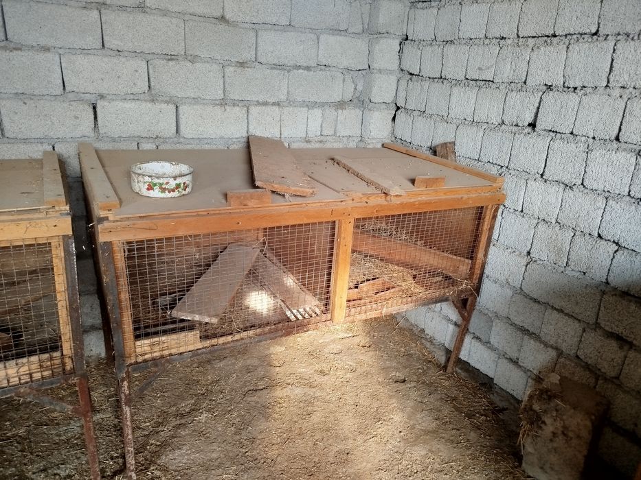 Клетки для кроликов маточники