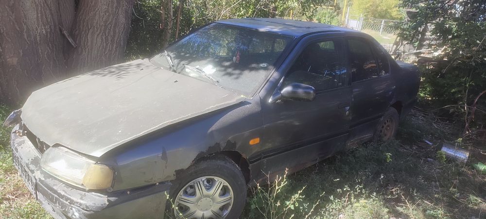 Nissan primera P10