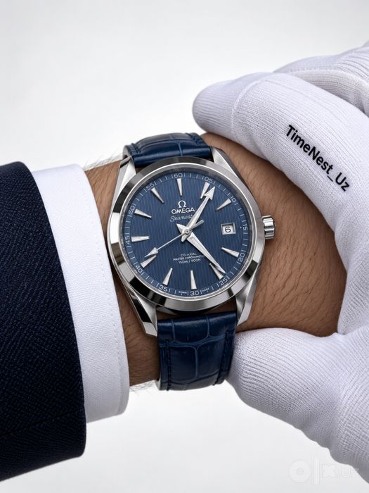 Omega Seamaster Aqua Terra Watch