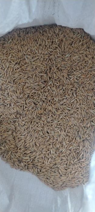 Продам зерноотходы 4500тг /мешок