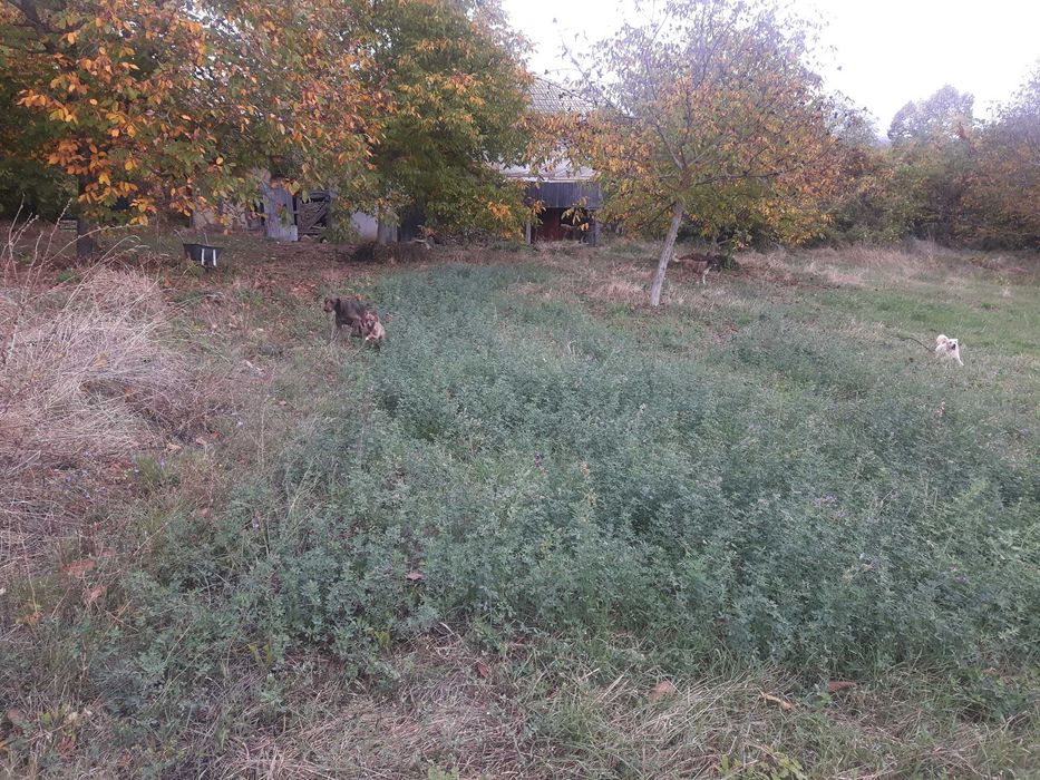 Голям парцел в 7855 Бракница