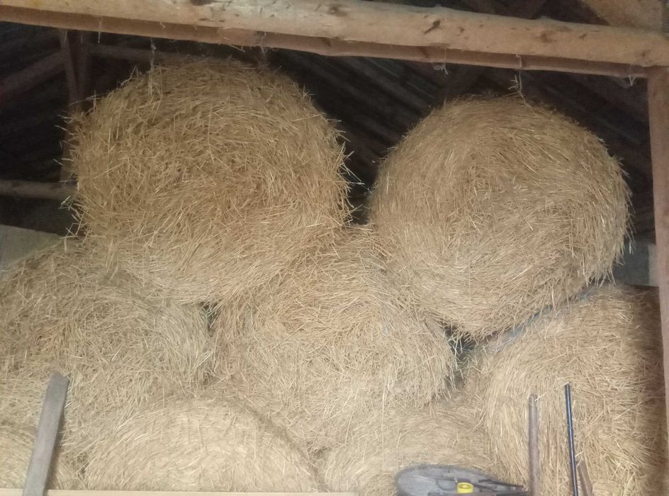 Продавам бали люцерна и слама