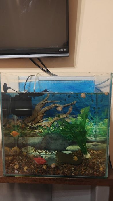 Аквариум полный комплект фильтр