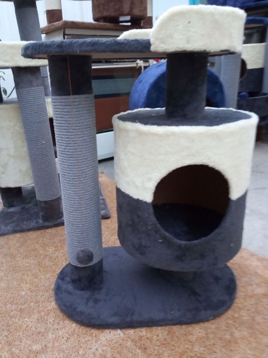 Когтеточки есть доставка.