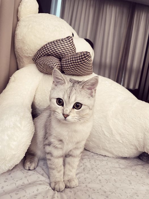 он очень хороший