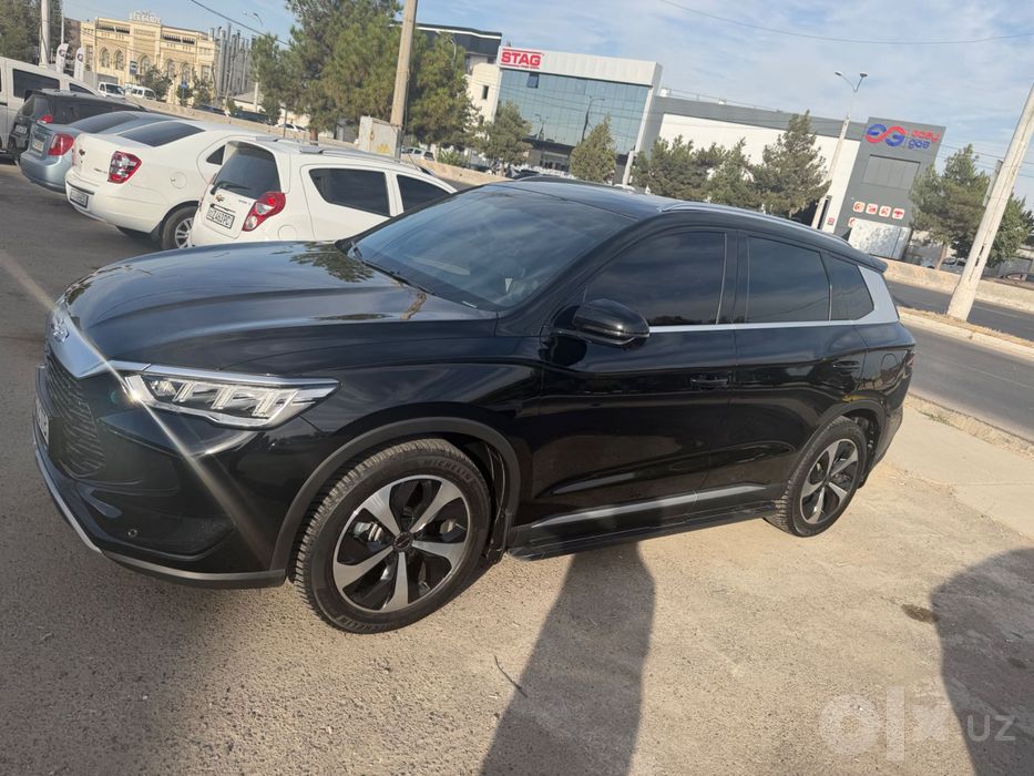 Byd song pro 1 pazitsa