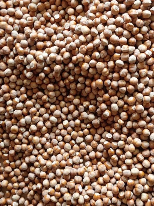 Alune proaspete din propria livadă