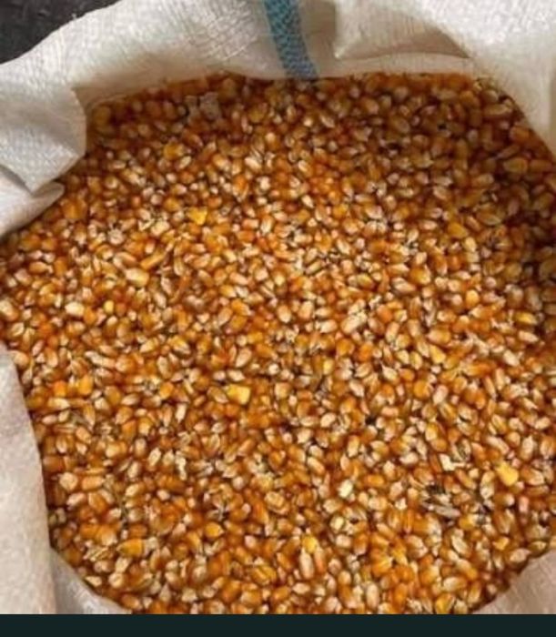 Graunte de vânzare anul 2025