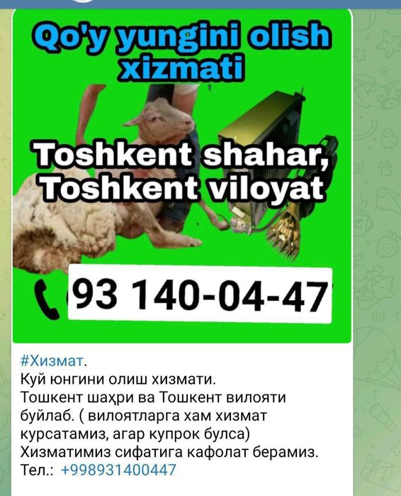 Qòy sartarosh xizmati