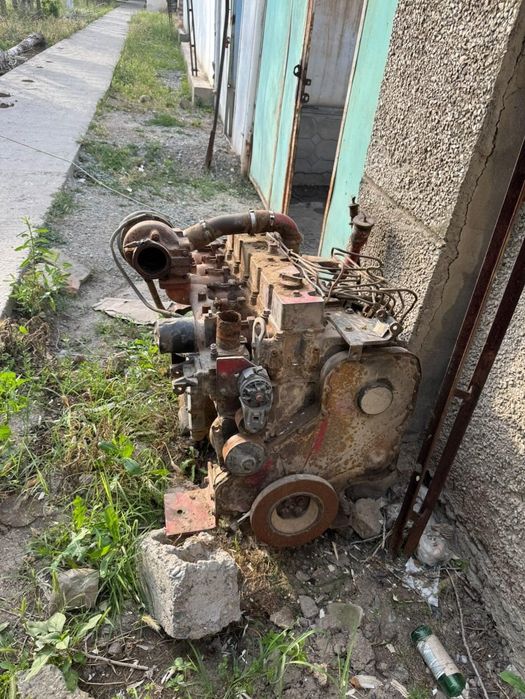Cese ga mator sotiladi