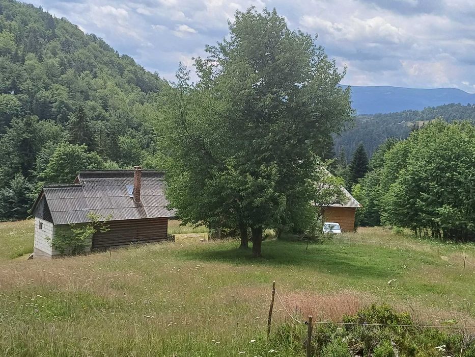 Teren intravilan și 2 case de vânzare  în localitatea Sfoartea Comuna Scarisoara  Județul Alba