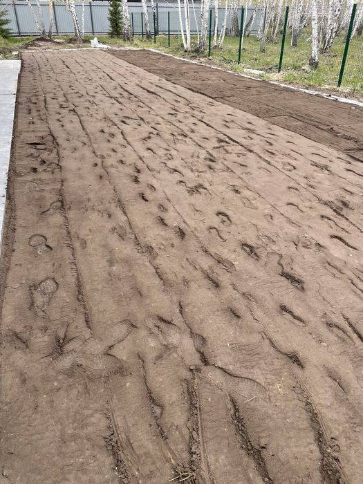 Газон под ключ