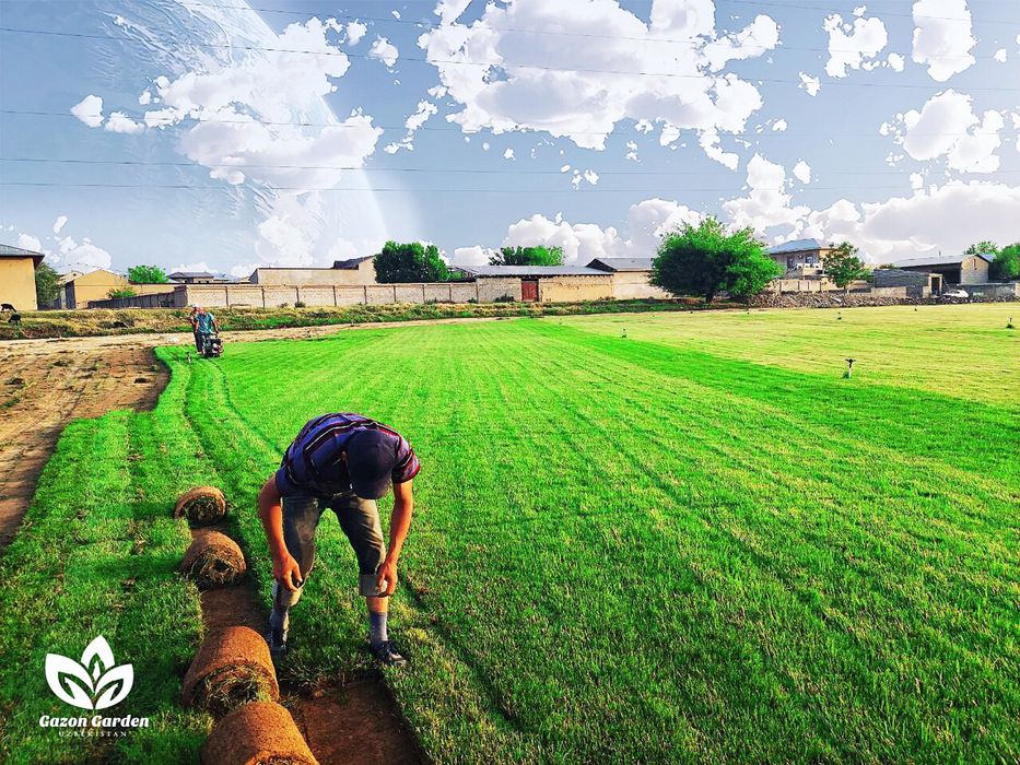 Услуги газона , Gazo’n Hizmati