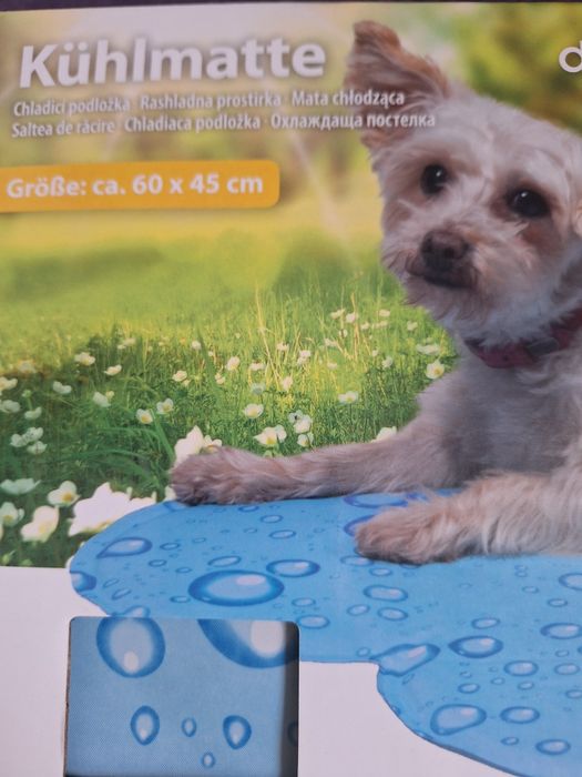 За домашни любимци