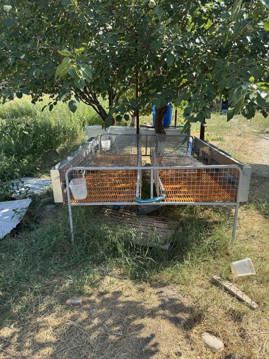 Quyon boqish uchun kletkalar bor xolati yangi ishlatilmagan