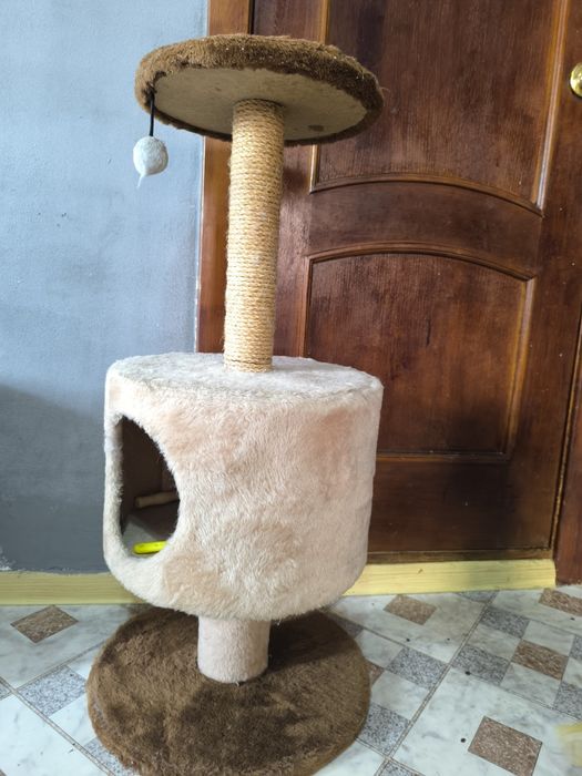 Домик когтиточка