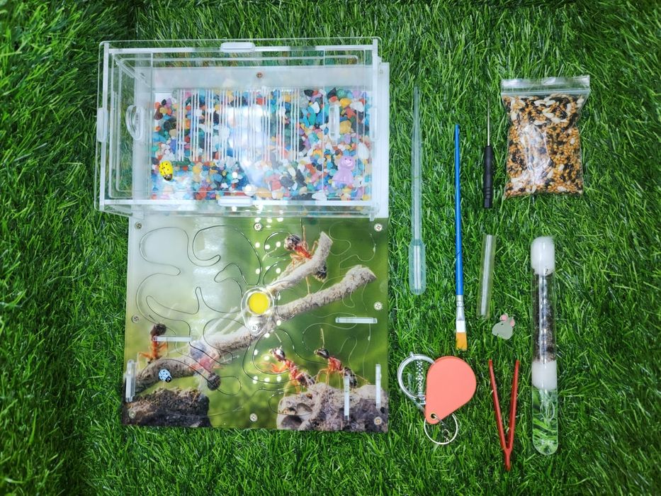 муравьиная ферма!!