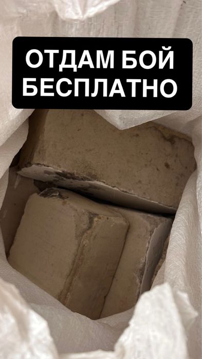 Отдам бой бесплатно