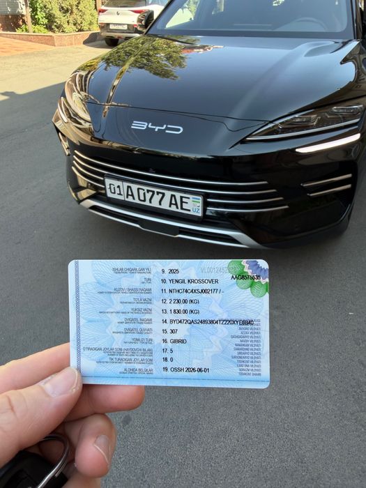 BYD chempion GIBRID