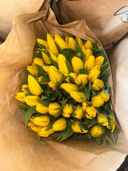 Тюльпаны напрямую с теплицы