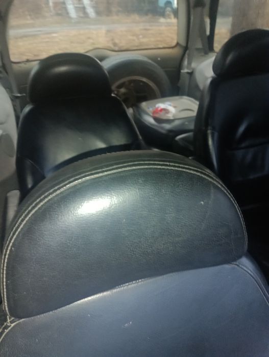 Продам Шаран срочно