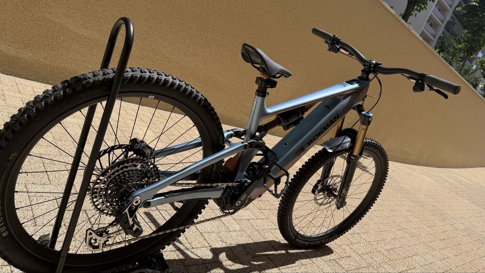Specialised Turbo Levo Sworks