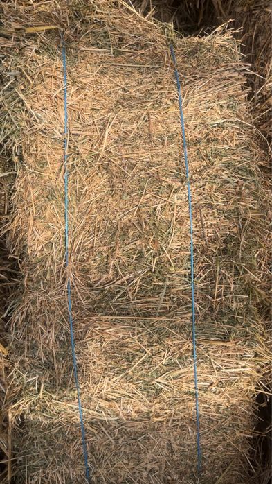 Baloti de cocenasi si trifoi !