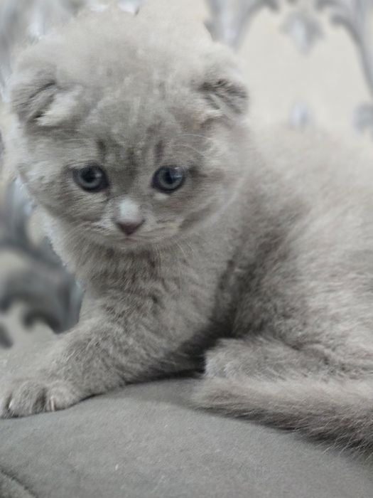 Kechgi20:00 dan ertalabki 9:00 bezovta qilmanglar